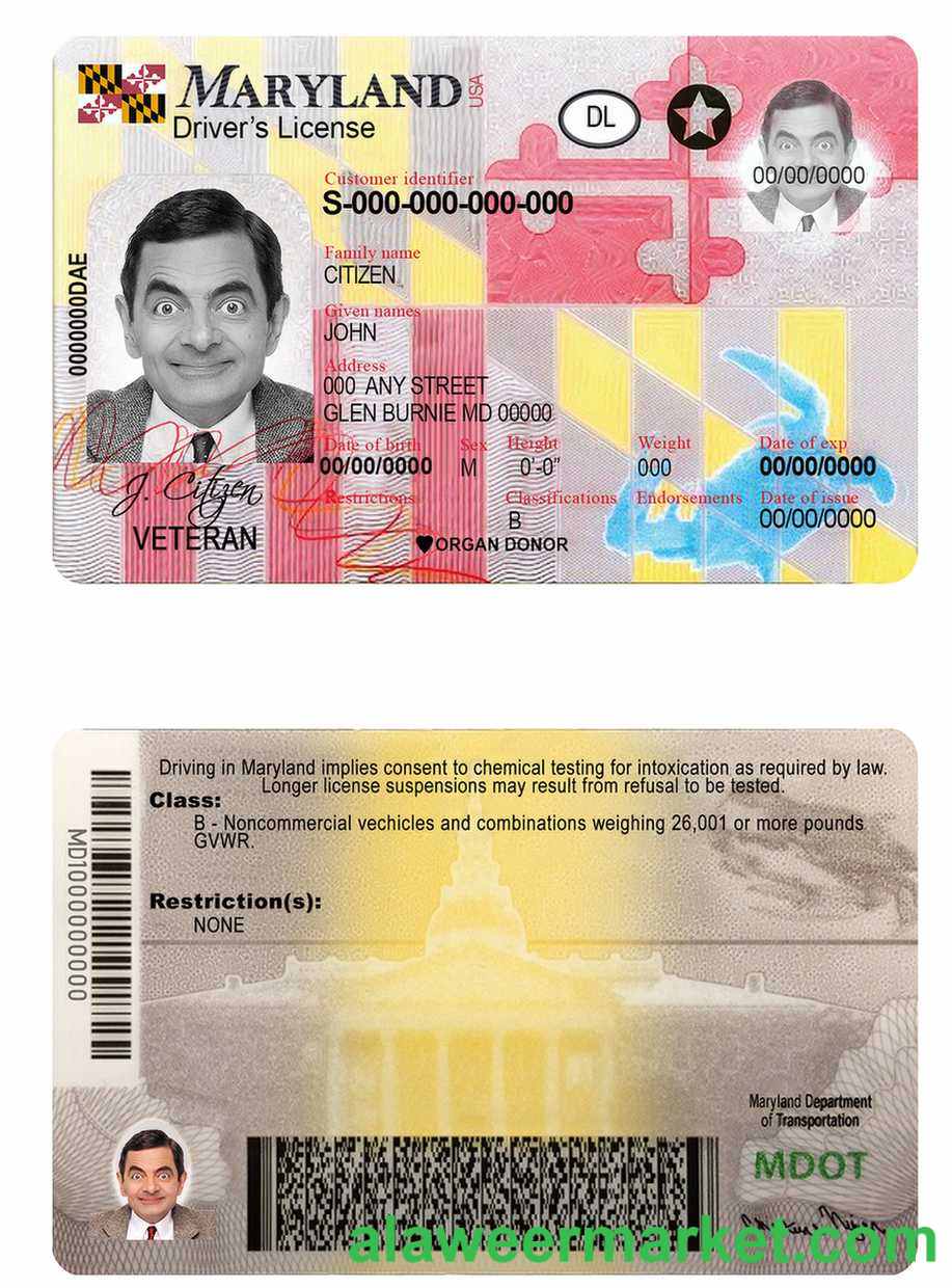USA Maryland driving license